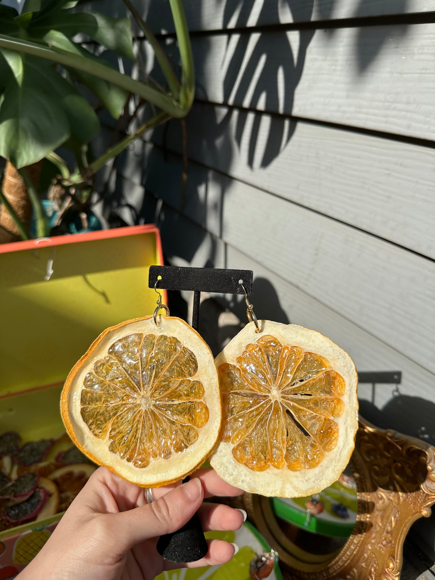 Large Pomelo