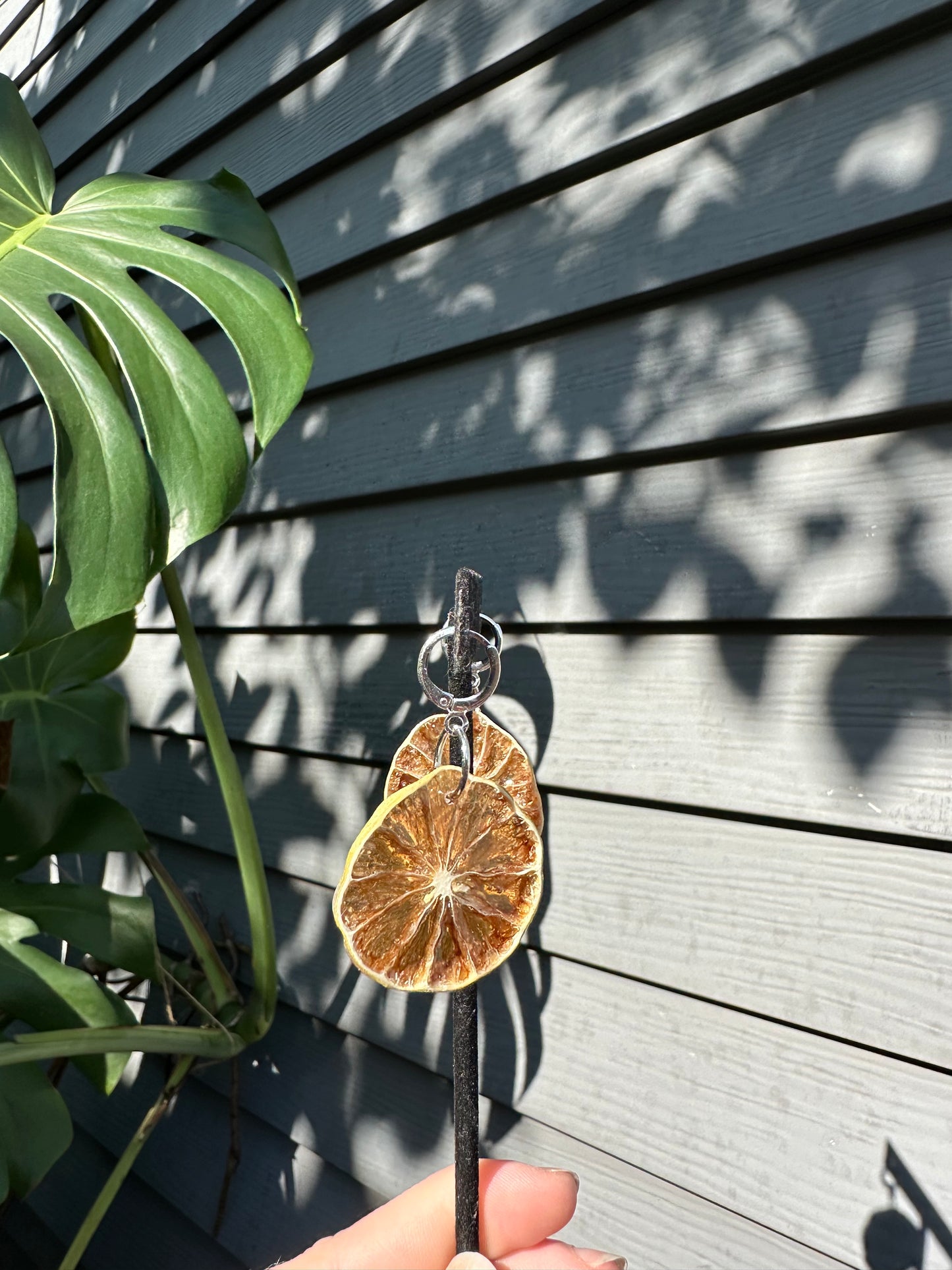 Key lime Hoops