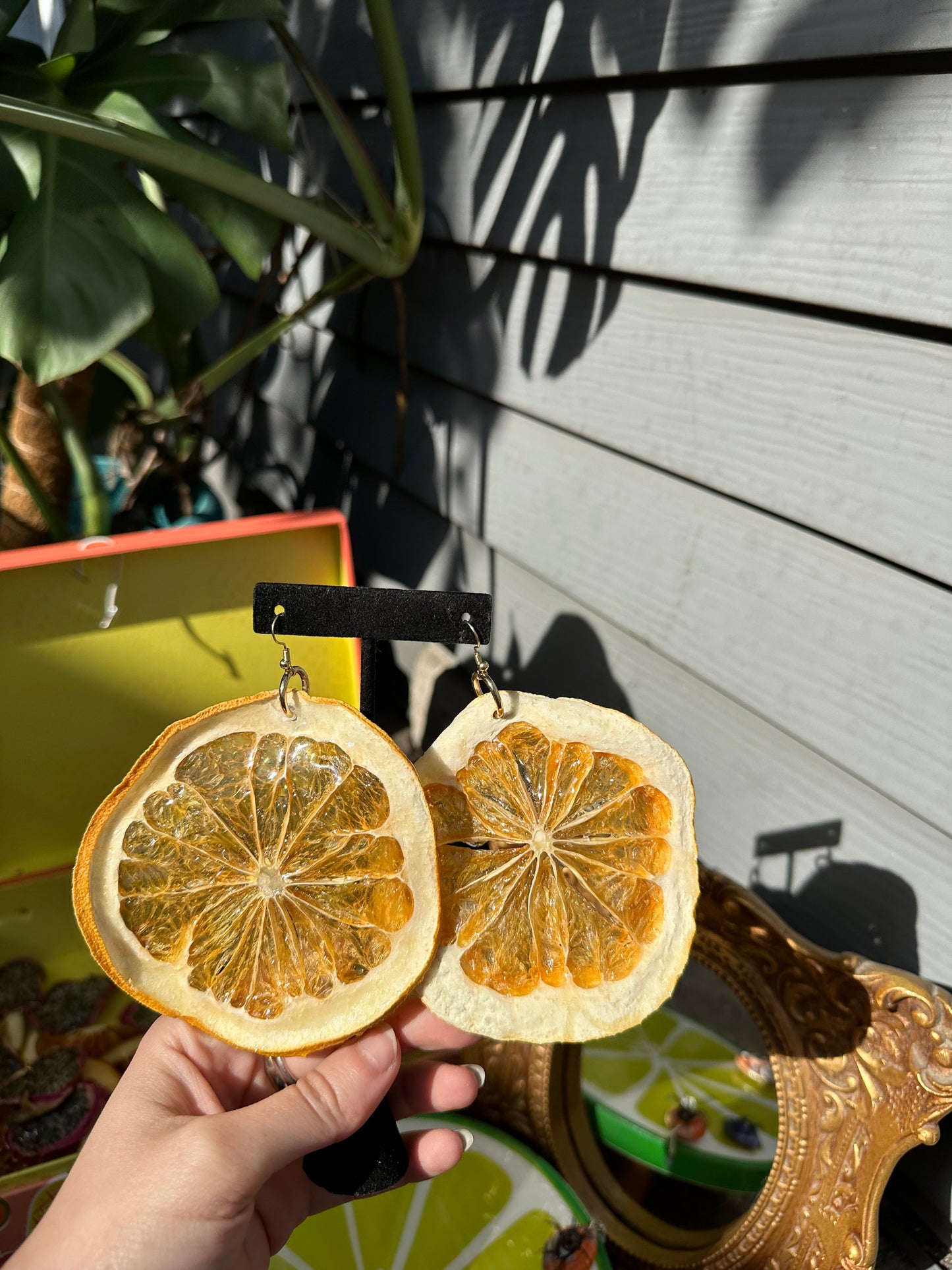 Large Pomelo